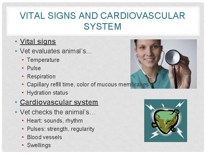 VITAL SIGNS AND CARDIOVASCULAR SYSTEM • Vital signs • Vet evaluates animal’s… • •