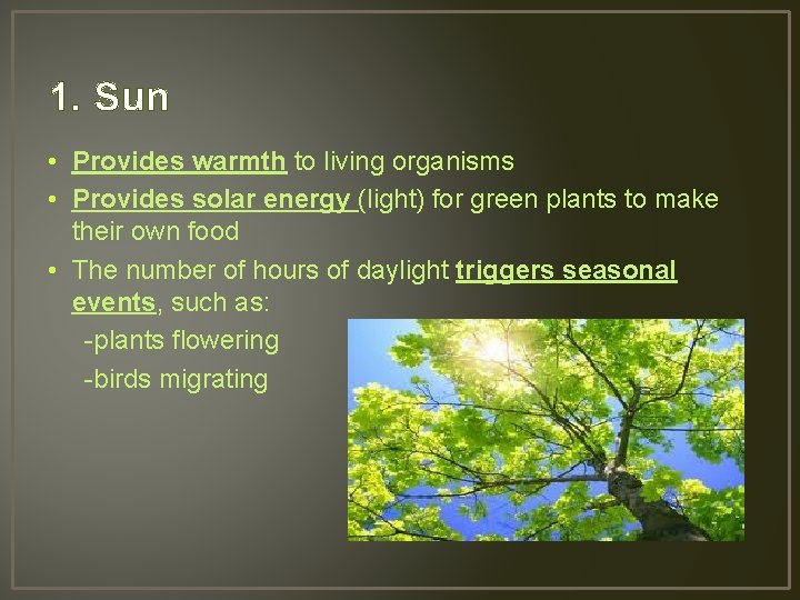 1. Sun • Provides warmth to living organisms • Provides solar energy (light) for