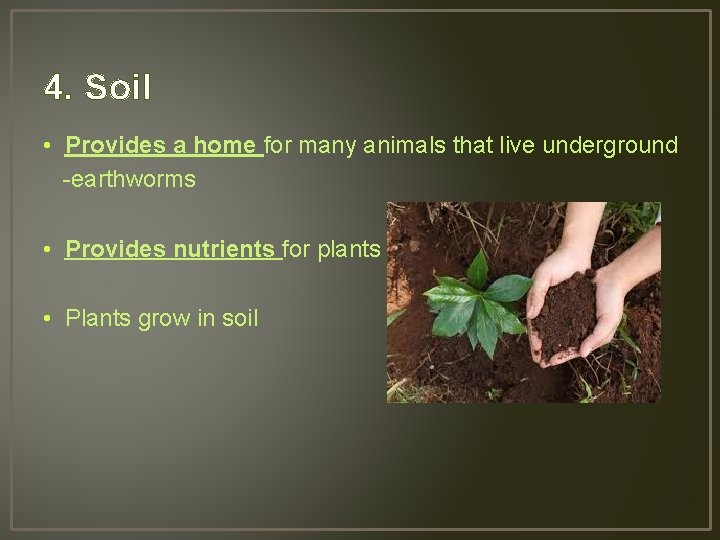 4. Soil • Provides a home for many animals that live underground -earthworms •