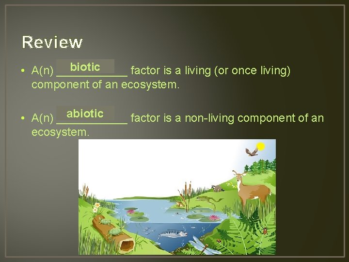 Review biotic • A(n) ______ factor is a living (or once living) component of