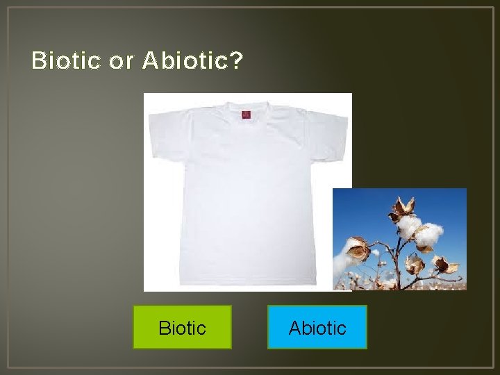 Biotic or Abiotic? Biotic Abiotic 