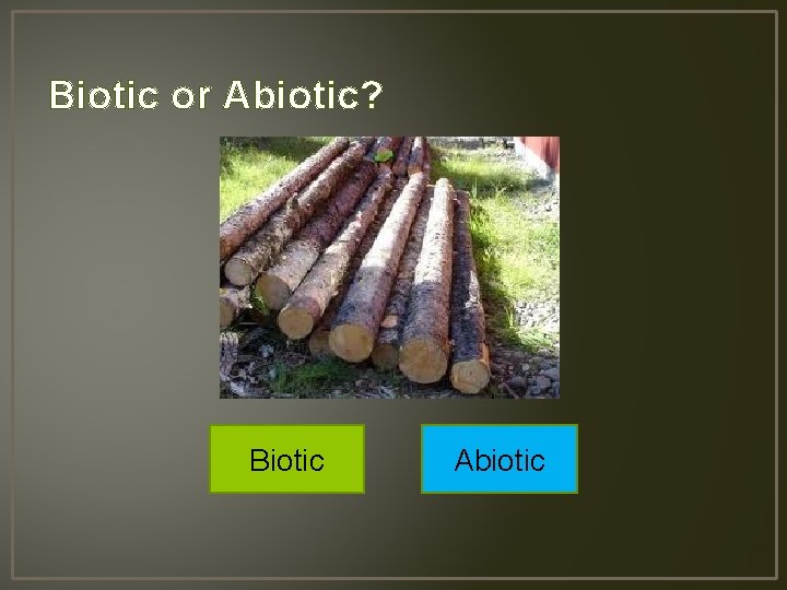 Biotic or Abiotic? Biotic Abiotic 