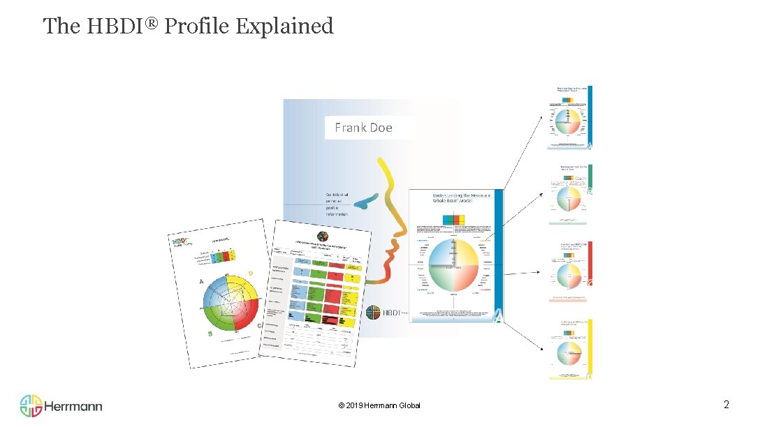 The HBDI® Profile Explained Frank Doe © 2019 Herrmann Global 2 