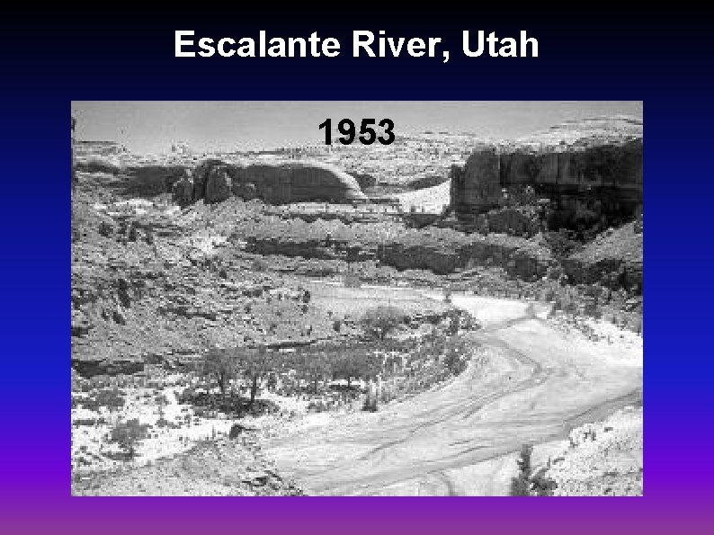 Escalante River, Utah 1953 