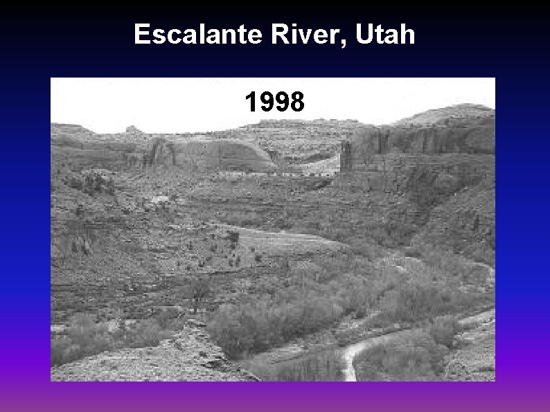 Escalante River, Utah 1998 