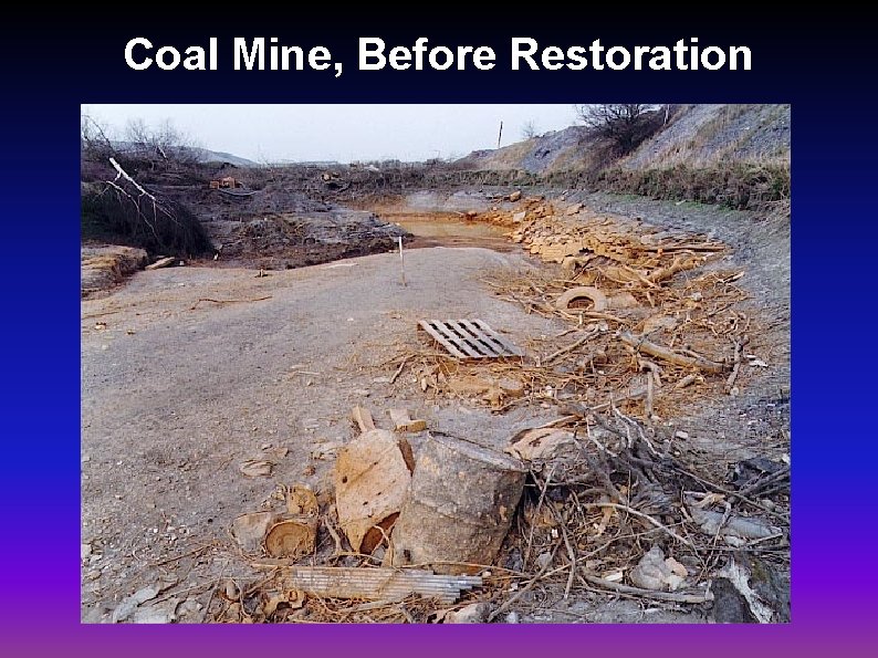 Coal Mine, Before Restoration 