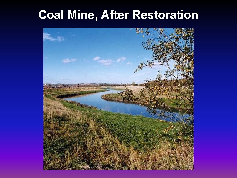 Coal Mine, After Restoration 