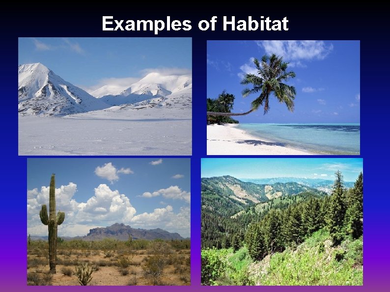 Examples of Habitat 
