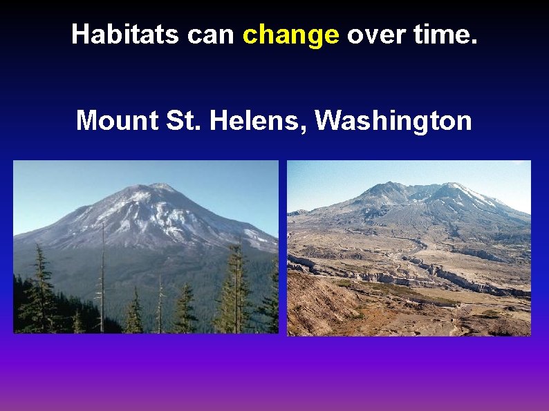 Habitats can change over time. Mount St. Helens, Washington 