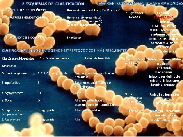 3 ESQUEMAS DE CLASIFICACIÓN 1. -PROPIEDADES SEROLÓGICAS ESTREPTOCOCOS Y SUS ENFERMEDADES Grupos de lancefield