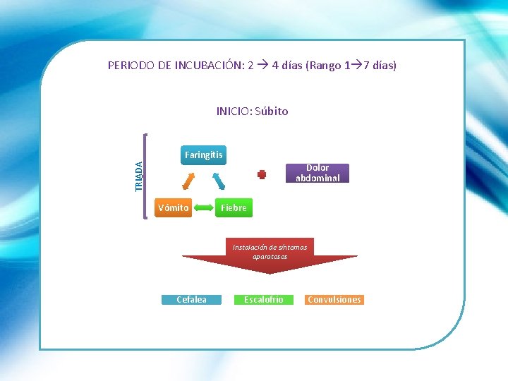 PERIODO DE INCUBACIÓN: 2 4 días (Rango 1 7 días) INICIO: Súbito TRIADA Faringitis