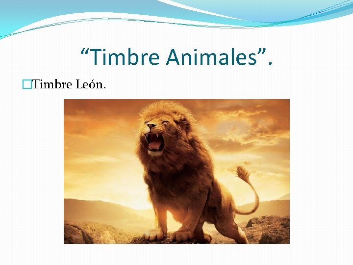“Timbre Animales”. �Timbre León. 