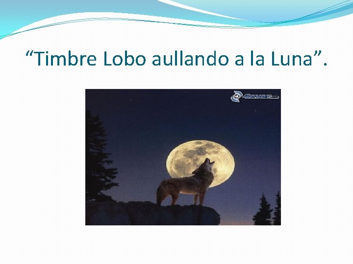 “Timbre Lobo aullando a la Luna”. 