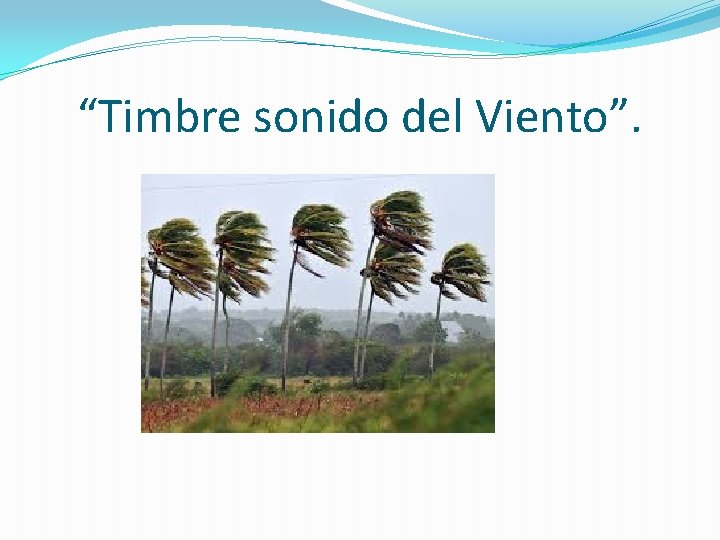 “Timbre sonido del Viento”. 