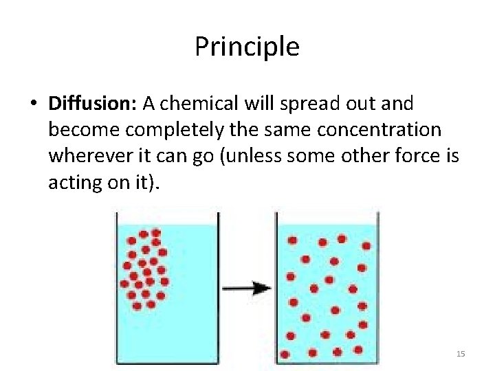 Principle • Diffusion: A chemical will spread out and become completely the same concentration
