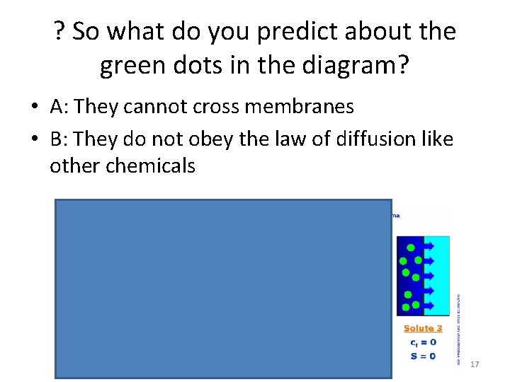? So what do you predict about the green dots in the diagram? •