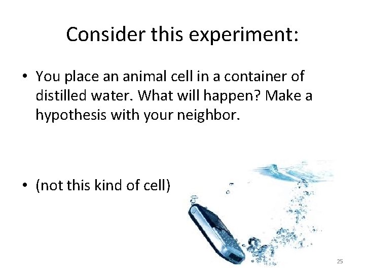 Consider this experiment: • You place an animal cell in a container of distilled