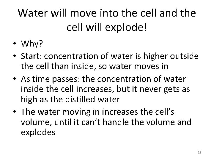 Water will move into the cell and the cell will explode! • Why? •