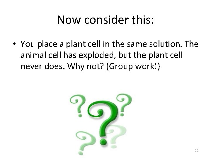 Now consider this: • You place a plant cell in the same solution. The