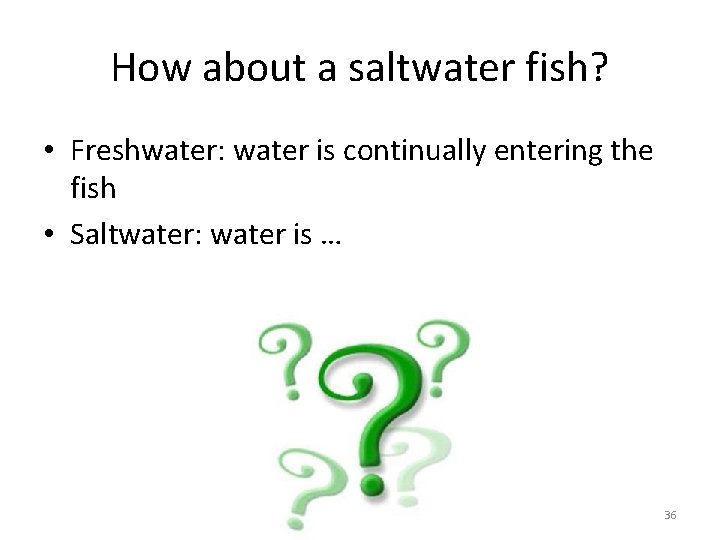 How about a saltwater fish? • Freshwater: water is continually entering the fish •