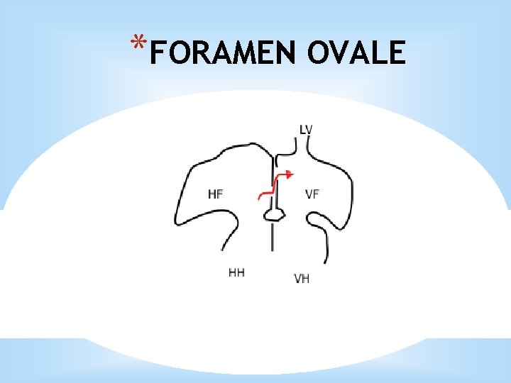 *FORAMEN OVALE 