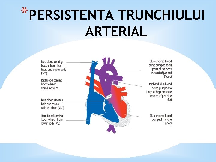 *PERSISTENTA TRUNCHIULUI ARTERIAL 