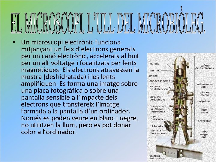  • Un microscopi electrònic funciona mitjançant un feix d’electrons generats per un canó