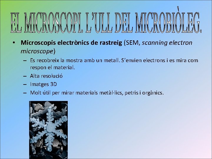  • Microscopis electrònics de rastreig (SEM, scanning electron microscope) – Es recobreix la