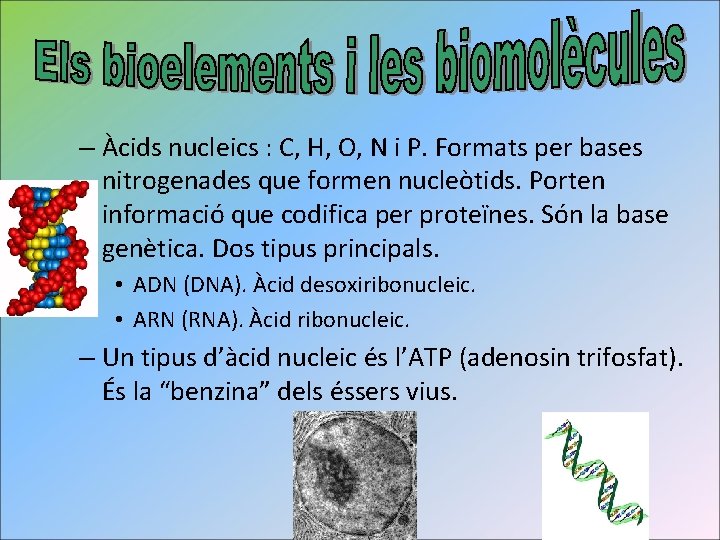 – Àcids nucleics : C, H, O, N i P. Formats per bases nitrogenades