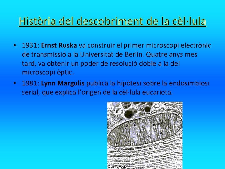  • 1931: Ernst Ruska va construir el primer microscopi electrònic de transmissió a