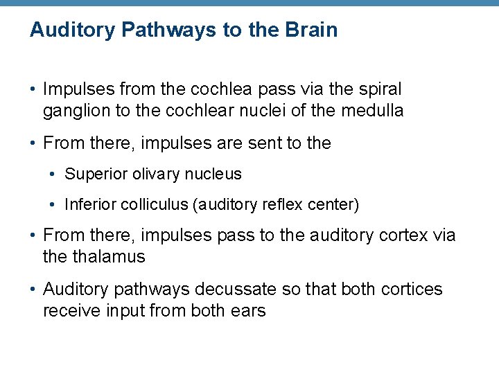 Auditory Pathways to the Brain • Impulses from the cochlea pass via the spiral