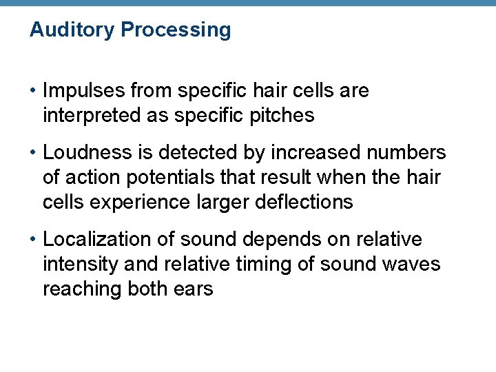 Auditory Processing • Impulses from specific hair cells are interpreted as specific pitches •