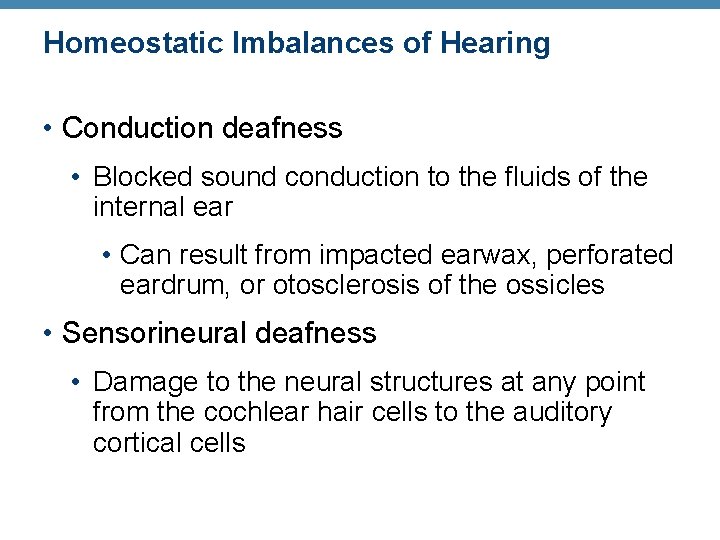 Homeostatic Imbalances of Hearing • Conduction deafness • Blocked sound conduction to the fluids