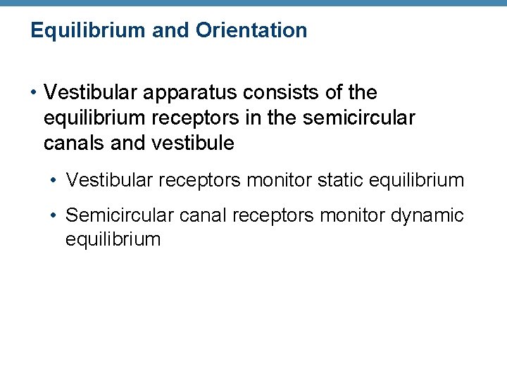 Equilibrium and Orientation • Vestibular apparatus consists of the equilibrium receptors in the semicircular