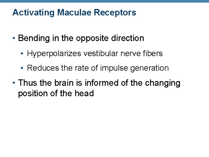 Activating Maculae Receptors • Bending in the opposite direction • Hyperpolarizes vestibular nerve fibers