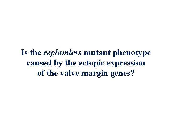 Is the replumless mutant phenotype caused by the ectopic expression of the valve margin