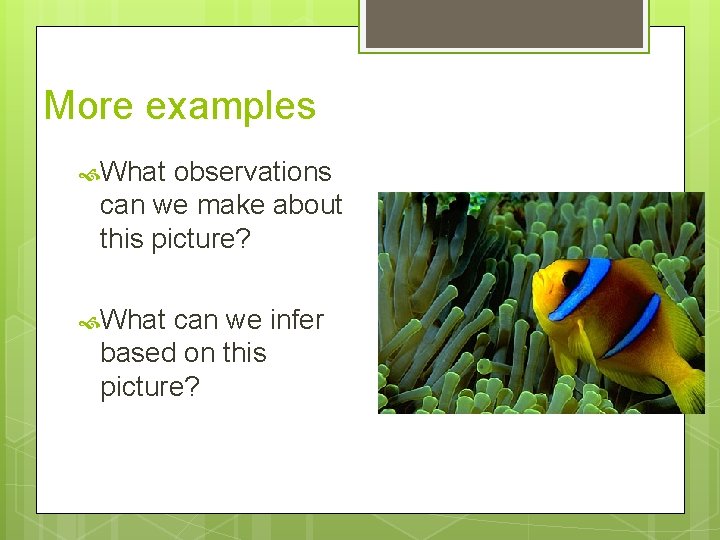 More examples What observations can we make about this picture? What can we infer