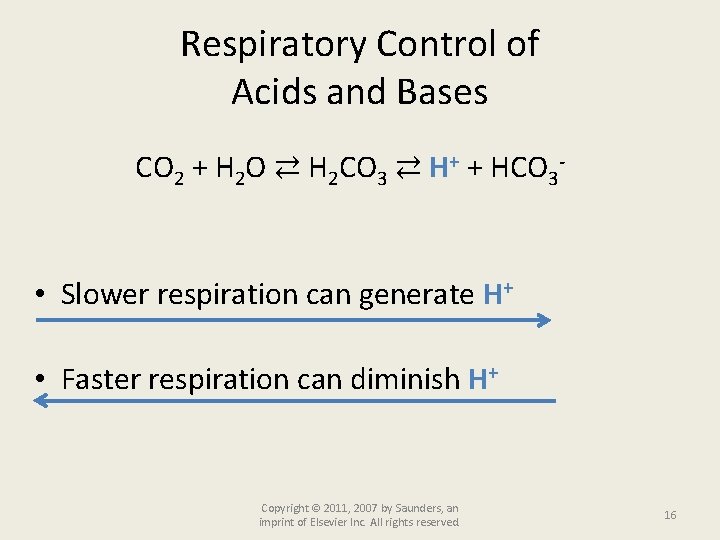 Respiratory Control of Acids and Bases CO 2 + H 2 O ⇄ H