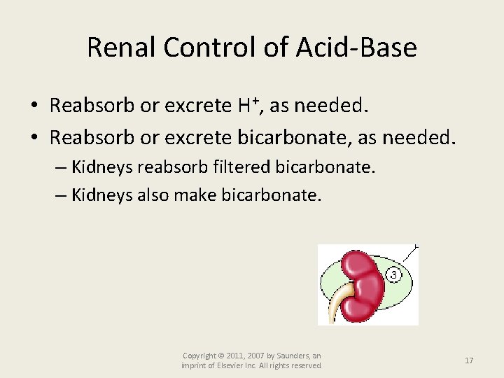 Renal Control of Acid-Base • Reabsorb or excrete H+, as needed. • Reabsorb or