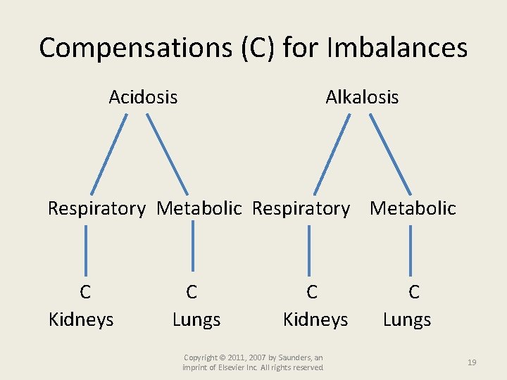 Compensations (C) for Imbalances Acidosis Alkalosis Respiratory Metabolic C Kidneys C Lungs C Kidneys