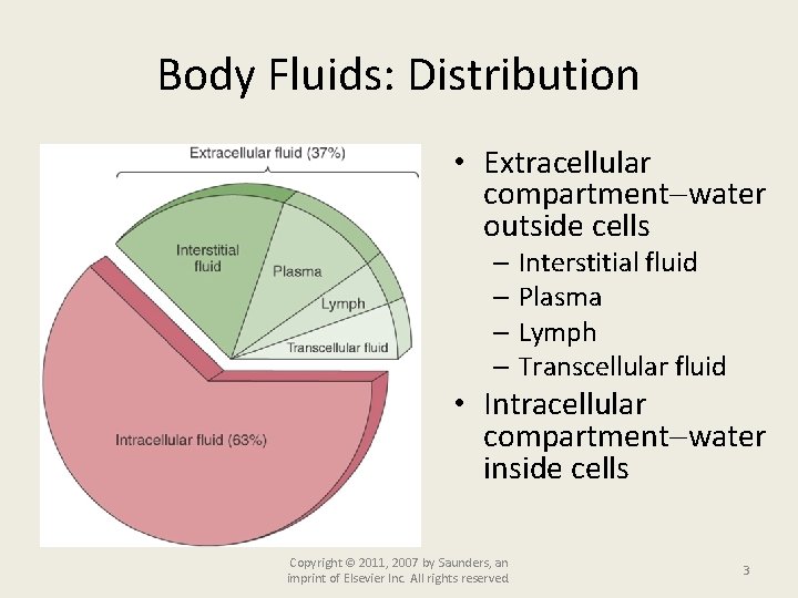 Body Fluids: Distribution • Extracellular compartment water outside cells – Interstitial fluid – Plasma