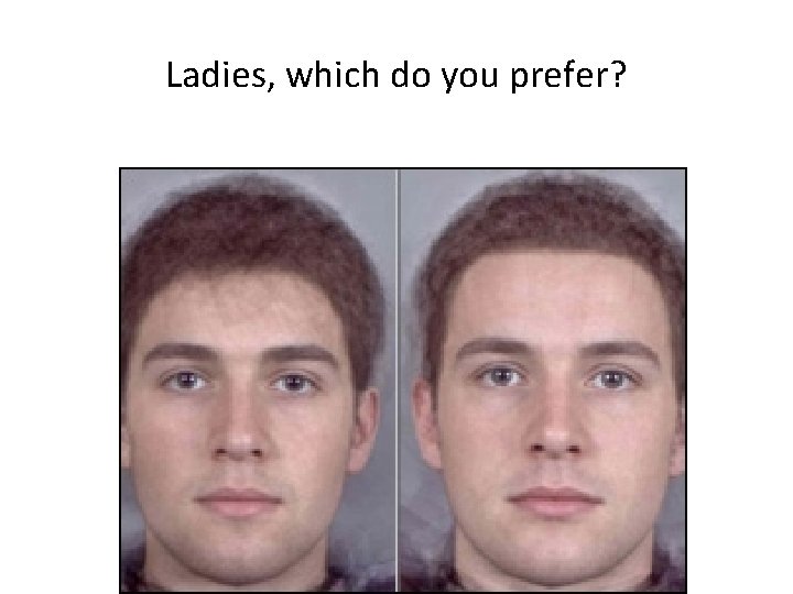 Ladies, which do you prefer? 