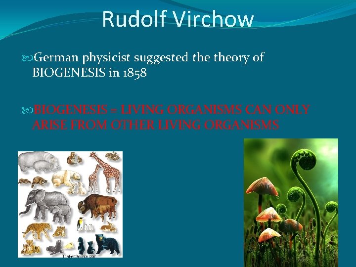 Rudolf Virchow German physicist suggested theory of BIOGENESIS in 1858 BIOGENESIS = LIVING ORGANISMS