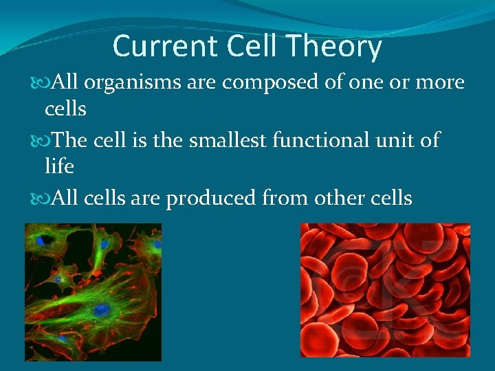 Current Cell Theory All organisms are composed of one or more cells The cell