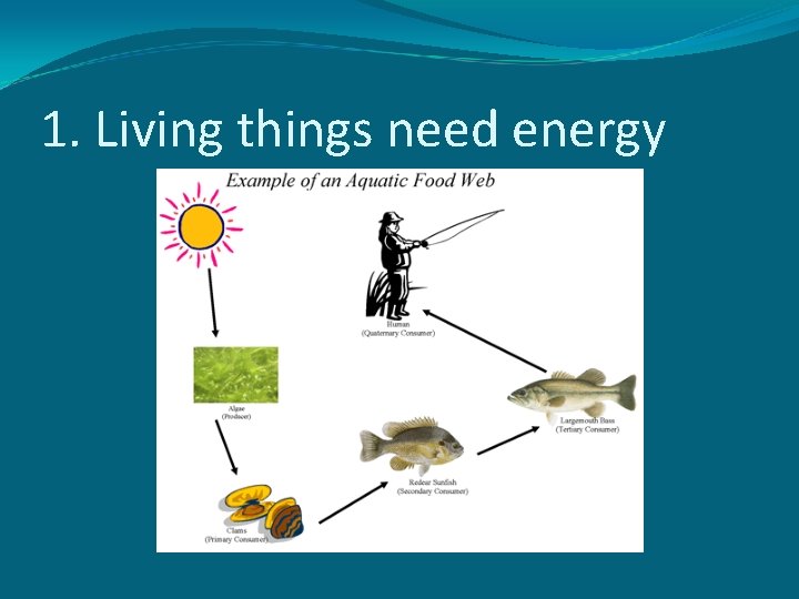 1. Living things need energy 