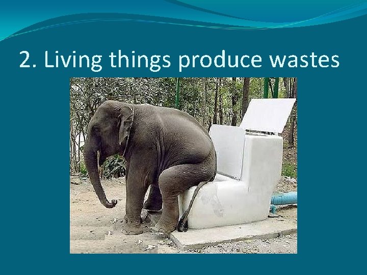 2. Living things produce wastes 