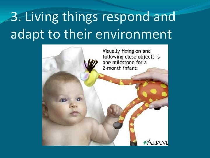 3. Living things respond adapt to their environment 