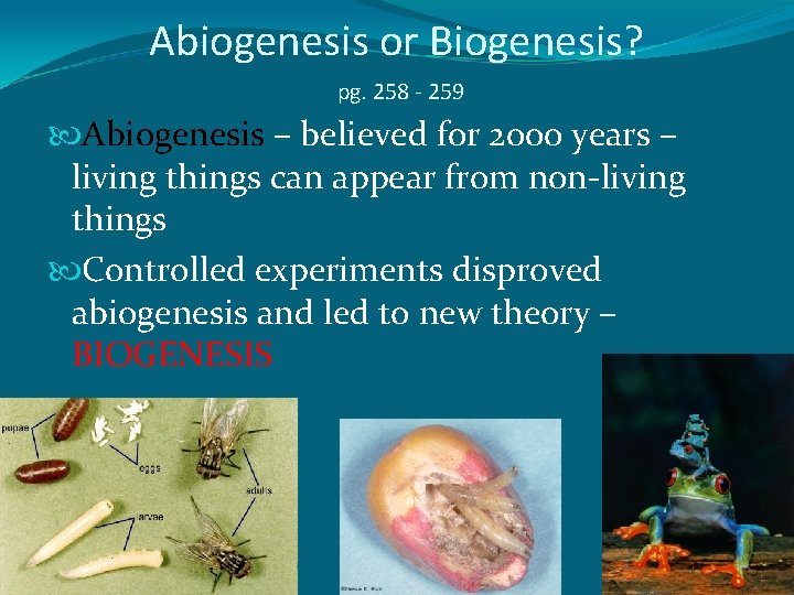 Abiogenesis or Biogenesis? pg. 258 - 259 Abiogenesis – believed for 2000 years –