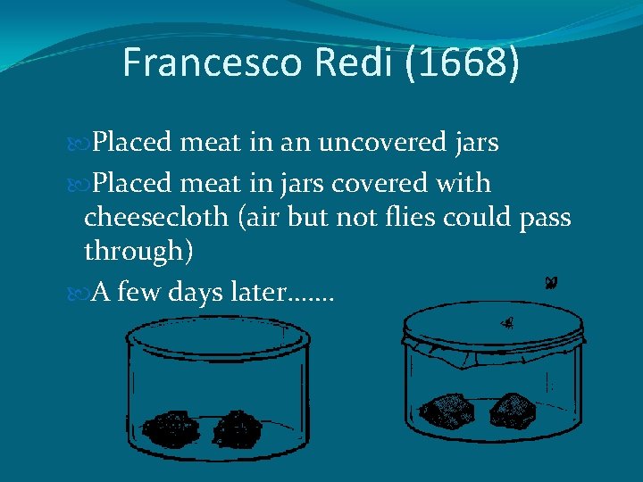 Francesco Redi (1668) Placed meat in an uncovered jars Placed meat in jars covered
