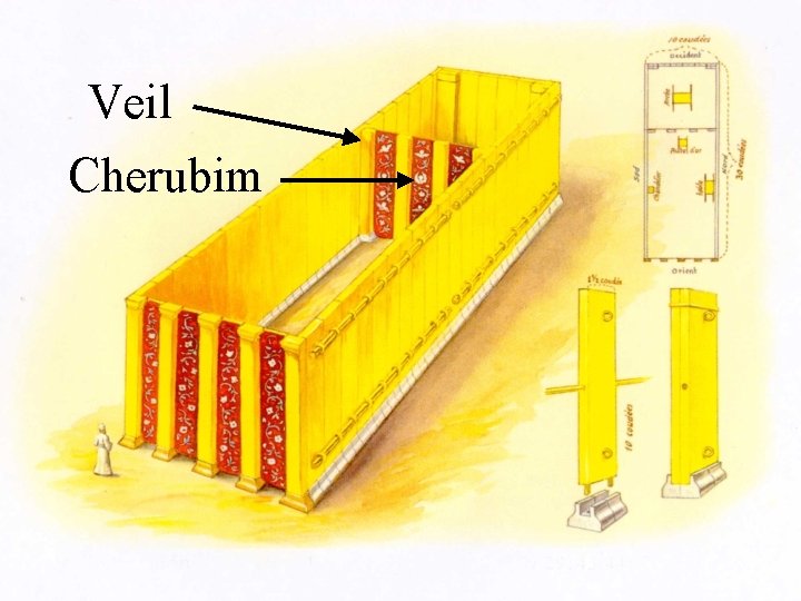 Veil Cherubim 